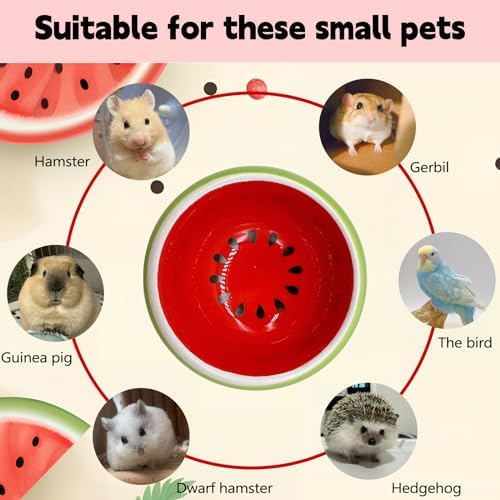 Hamiledyi Hamster Bowl 2 Pack Ceramic Gerbil Food Dish Feeding Bowls for Dwarf Syrian Hamsters Mice Rats Mouse Sugar Glider