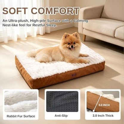 Orthopedic Dog Bed for Medium Dogs,Firm Egg Crate Foam,Nonslip Bottom,Brown