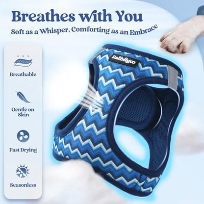 rabbitgoo Dog Harness Small Sized and Leash Set, Step-in Puppy Pet Vest