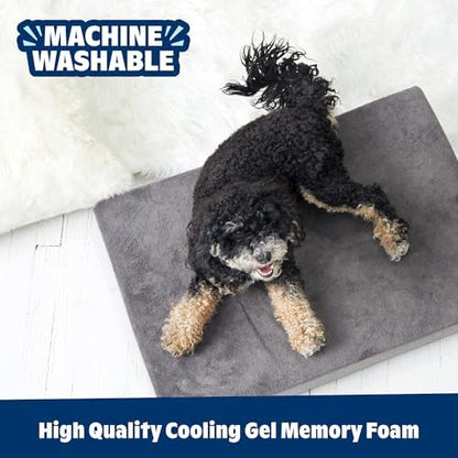 BarkBox Orthopedic Dog Bed - XXL