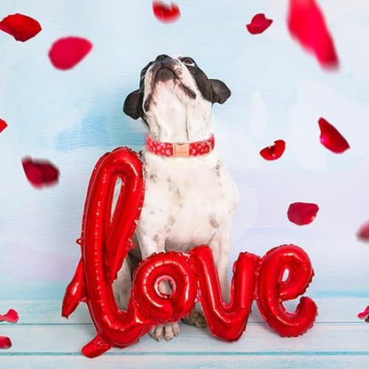 Valentines Dog Collar, Red Pink Heart Valentine Pet Collar with Metal Buckle, Durable Adjustable Holiday Dog Collars for Small Medium Large Dogs M