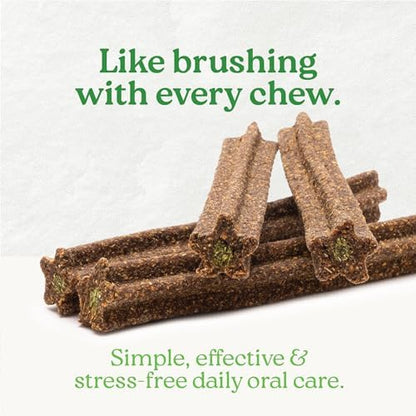 Plaque Busters Dental Sticks Triple Action Natural Mint Flavour, 8.3 oz, Dog Treat