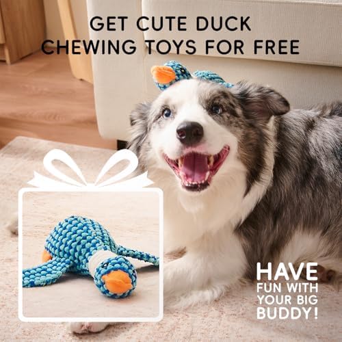 Homemate Dog Bed Large Sized Dog: 36"x27" Orthopedic Pet Bed with Toy