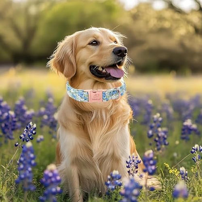 Blueberry Garden Dog Collar, Spring/Summer Cottagecore Floral Dog Collars, Adjustable Heavy Duty Girl Dogs Collar for Small Medium Large Dogs with Metal Buckle S