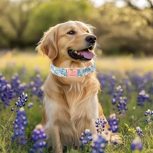 Blueberry Garden Dog Collar, Spring/Summer Cottagecore Floral Dog Collars, Adjustable Heavy Duty Girl Dogs Collar for Small Medium Large Dogs with Metal Buckle XL