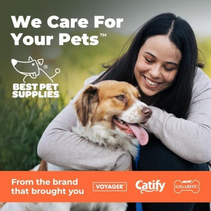 Best Pet Supplies 2-in-1 Stuffless Squeaky Dog Toy - Pack of 4, Medium