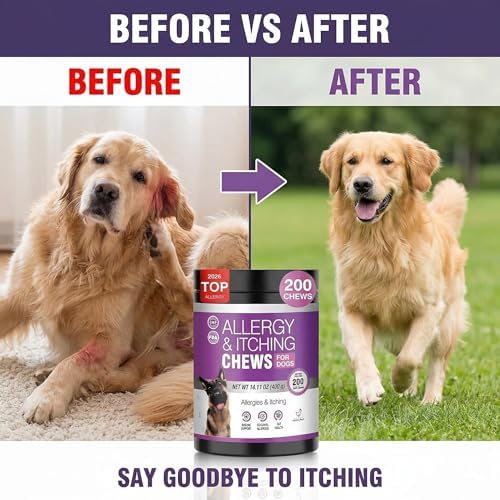 Dog Allergy Relief Chews for Itchy Skin – Anti Itch & Immune Support Supplement for Dogs, with Salmon Oil, Probiotics & Colostrum, Skin & Coat Health, Reduce Paw Licking, 200 Soft Chews