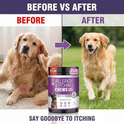 Dog Allergy Relief Chews for Itchy Skin – Anti Itch & Immune Support Supplement for Dogs, with Salmon Oil, Probiotics & Colostrum, Skin & Coat Health, Reduce Paw Licking, 200 Soft Chews