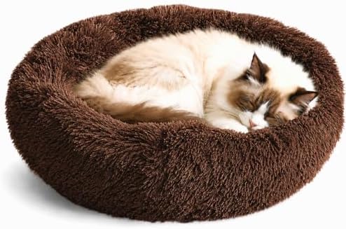 Whiskers & Friends Cat Beds for Indoor Cats & Small Dog, Fluffy Cat Bed
