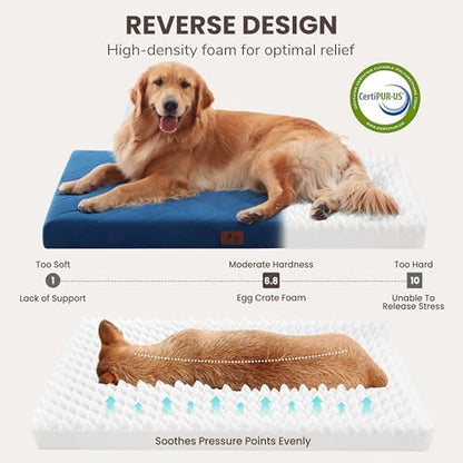Orthopedic Dog Beds for Small Dogs, Washable Pet Bed Mat with Removable Cover, Waterproof Egg Crate Foam Puppy Bed Anti Slip, 23" x 18", NOT for Chewers
