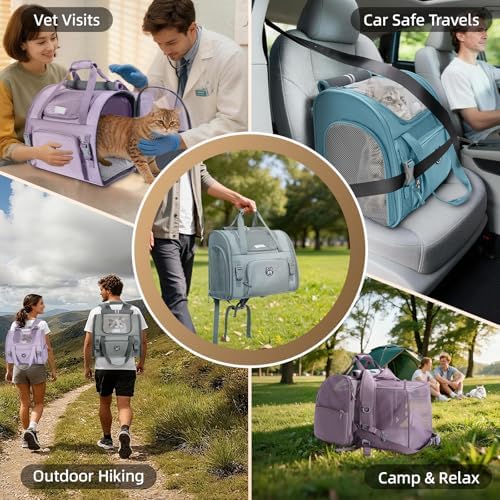 Lollimeow Expandable Cat Carrier Backpack for Large Cats - Airline Approved Pet Carrier Backpack for Small Dogs, Hiking & Travel, Waterproof with Breathable Mesh, 14lbs Capacity (Light Grey, Standard)