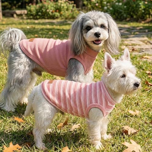 3Pack Dog Shirts Lightweight Waffle Dog Shirt for Small Dogs Sleeveless Dog Shirt for Small Medium Boy Girl Dogs Cozy & Breathable Pet Vest