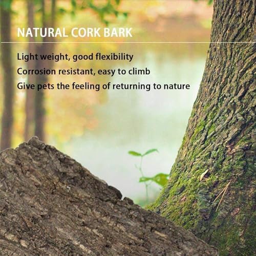 Hamiledyi 2PCS Cork Terrarium Background 15.7 x 11.8in Natural Cork Large Bark Backdrop Reptile Climbing Mat Habitat Decor Accessories for Beared Dragon Lizard Gecko Spider Chameleon Tortoise