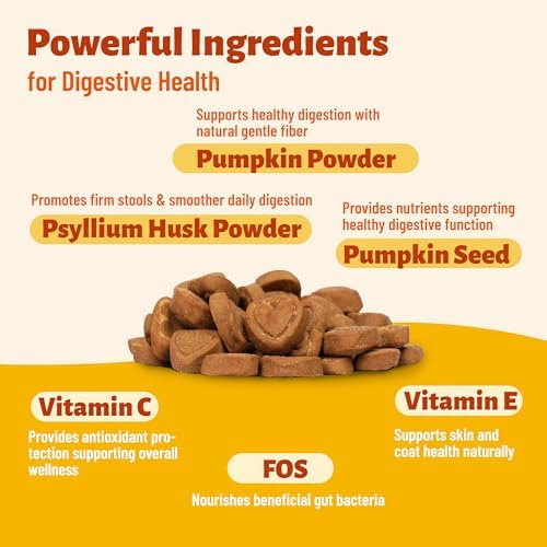 19.4oz Pumpkin Cat Treats for Digestive Health