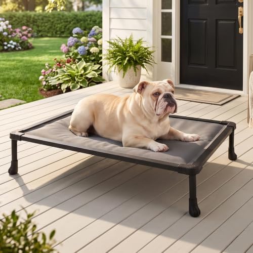Veehoo Chew Proof Elevated Dog Bed, Padded Indestructible Raised Dog Cot