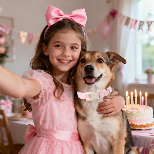 DOGWONG Pink Strawberry Striped Dog Collar for Small Medium Large Dogs M