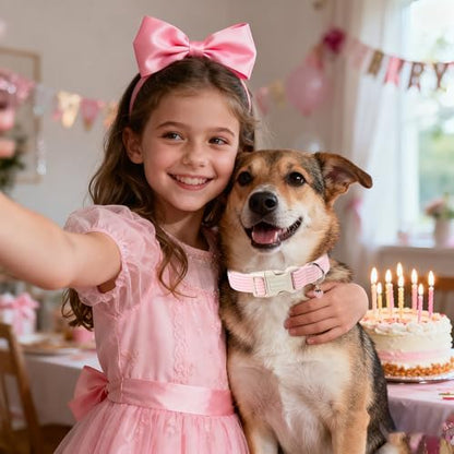 DOGWONG Pink Strawberry Striped Dog Collar for Small Medium Large Dogs M