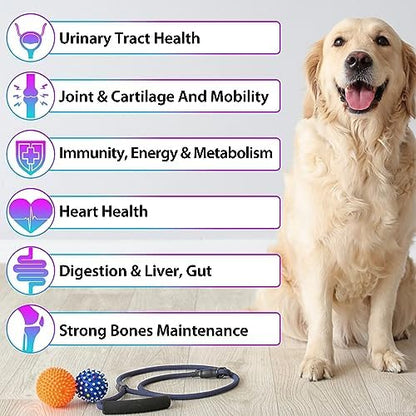 15-in-1 Dog Multivitamin Drops, Liquid Multivitamin Drops for Dogs, 2 oz