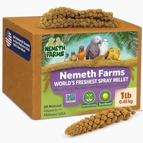 Nemeth Farms Spray Millet - Edible Tops Only, Non-GMO and Sun-Dried - 1 lb for Parakeets, Canaries and Finches