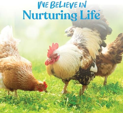 Manna Pro Hydro-Hen Poultry Electrolyte, Digestive & Probiotic, 8 oz