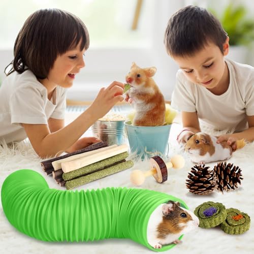Kyouki Hamster Toys Guinea Pig Toys Set with Tunnel, Chewable Apple Wood & Natural Timothy Hay - Enrichment Chew Toys for Small Animals - 24+ Cage Accessories for Teeth Care & Boredom Relief (Green)
