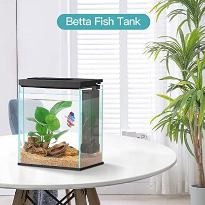 Betta Fish Tank, 2 Gallon Glass Aquarium Starter Kit, Small Fish Tank with Filter and Light.