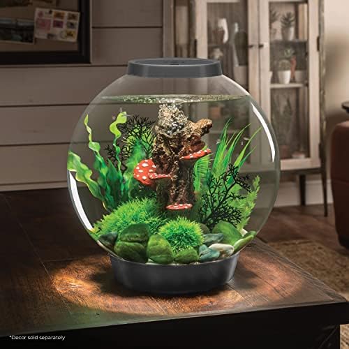 biOrb Classic 30 Acrylic 8-Gallon Aquarium with White LED Lights Modern Tank for Tabletop Display, Silver