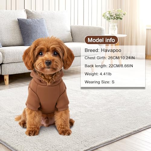 1 Pack Dog Hoodie Warm Hood Dog Sweater Cold Weather Small Dogs Sweatshirt Comfort Pet Clothes for Small Medium Dogs with Pockets Cats Chihuahua Clothes for Male Female Girl Boy Sporty Daily Wear