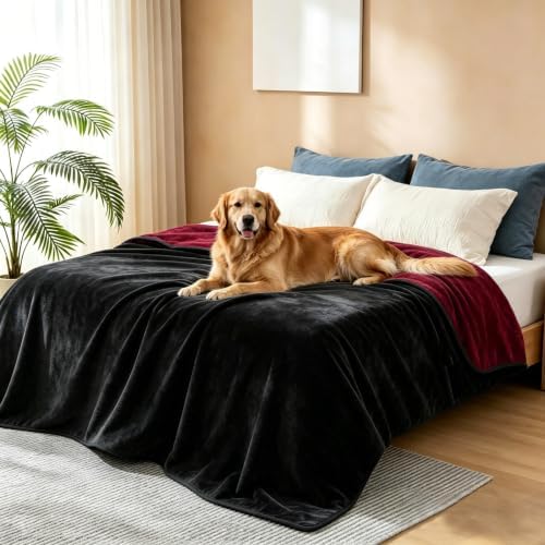 gogobunny Waterproof Blanket for Dogs and Cats, Reversible Flannel Double-Sided Furniture Protector for Couch Sofa Bed Against Spills & Pet Fur (60" x 80", Black/Red)