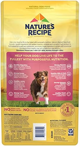 Natureâ€²s Recipe Grain Free Salmon, Sweet Potato & Pumpkin Recipe Dry Dog Food, 4 lb. Bag (Pack of 2)