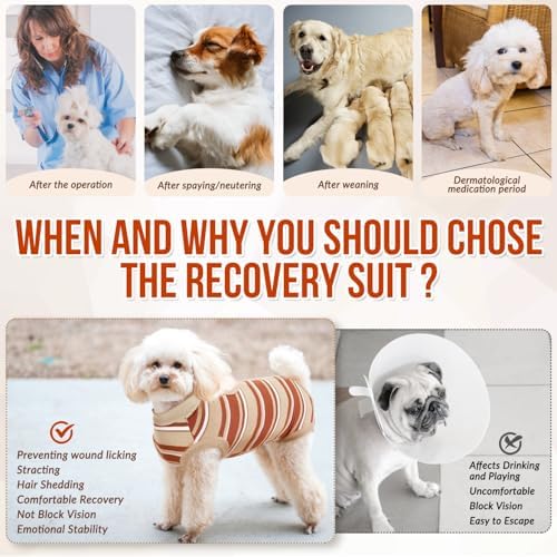 Lukovee Recovery Suit for Dogs, Onesie Spay Neuter Surgery Suit Female Male