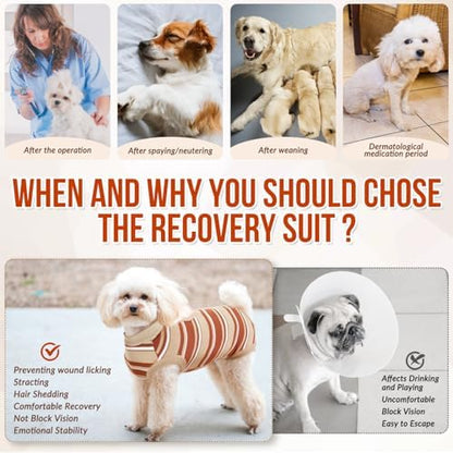 Lukovee Recovery Suit for Dogs, Onesie Spay Neuter Surgery Suit Female Male