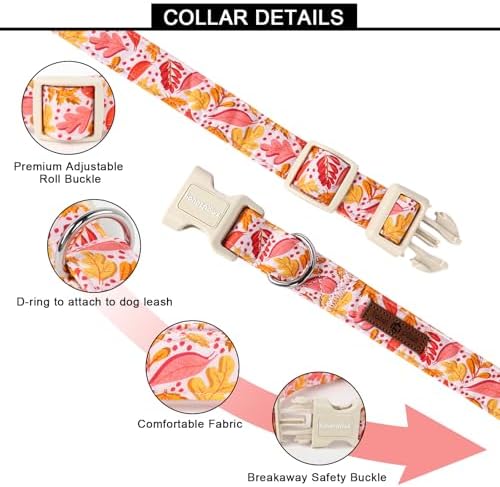 Lionet Paws Dogs Collar Fall, Pink Yellow Leaves Collars with Quick Release Buckle for Boy and Girl Female Dogs, Large, Neck 16-24 inches