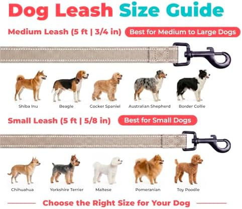 Best Pet Supplies Voyager Nylon Dog Leash - Khaki, Medium