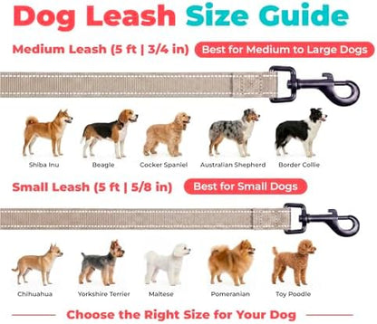 Best Pet Supplies Voyager Nylon Dog Leash - Khaki, Medium