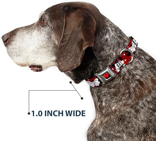 Dog Collar Seatbelt Buckle Mickey Minnie Hugs Kisses Poses Reds White 11 to 17 Inches 1.0 Inch Wide