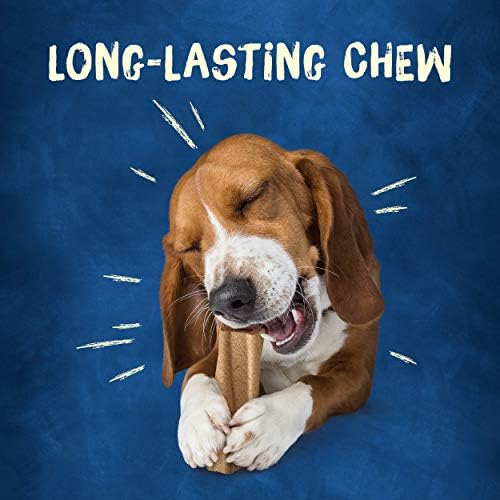 Purina Busy Bone Adult Large Dog Chew Treats, Original, 6 ct Pouch