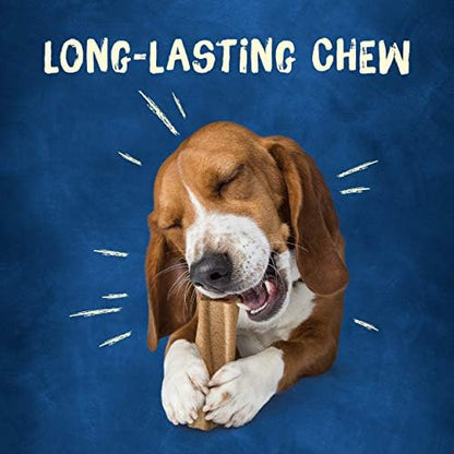 Purina Busy Bone Adult Large Dog Chew Treats, Original, 6 ct Pouch