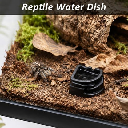6 Pcs Spider Micro Water Bowls, Mini Resin Dish for Tarantula, Spider, Millipede and Tiny Reptiles, Food/Water Dish for Enclosure Accessories (Small: 1.01" D, 0.39" H)