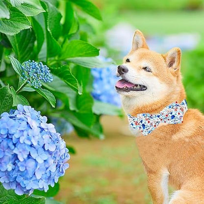Dog Collar-Flower Print Adjustable Cute Pet Collar Soft Blue Floral Dog Collars with Bow Tie Durable Cotton Metal Buckle Puppy Collar Gift for X-Large Dogs