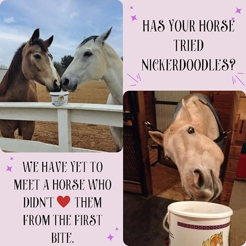 NickerDoodles Horse Treats - 2 lb Pail - Effortlessly Give Medications with Our Soft Baked Treats - Training Treats are The Perfect Motivator - No Additives or Preservatives