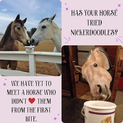 NickerDoodles Horse Treats - 2 lb Pail - Effortlessly Give Medications with Our Soft Baked Treats - Training Treats are The Perfect Motivator - No Additives or Preservatives