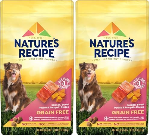 Natureâ€²s Recipe Grain Free Salmon, Sweet Potato & Pumpkin Recipe Dry Dog Food, 4 lb. Bag (Pack of 2)