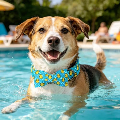 Summer Blue Rubber Duck Dog Collar with Bow for X-Small Dogs