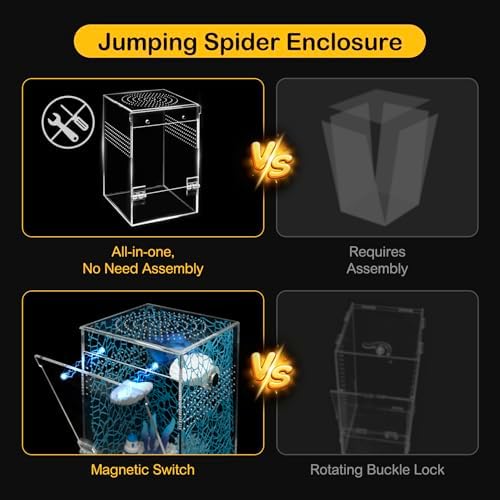 Jumping Spider Enclosure Starter Kit,Escape Proof Ocean Terrarium