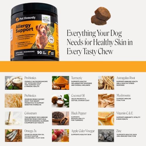 Pet Honesty Dog Allergy Chews for Itch & Allergy Relief, Salmon, 90ct