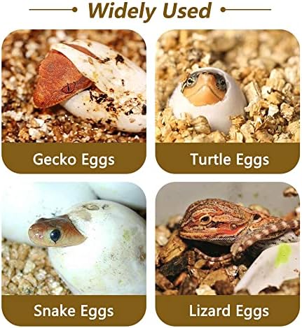 16-Grid Reptile Breeding Box - Professional Plastic Incubator for Gecko, Lizard & Mane Hatching
