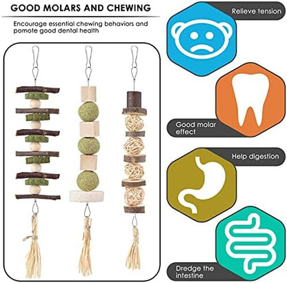 Bissap 3PCS Bunny Chew Toys, Natural Hanging Molar Treats for Small Pets