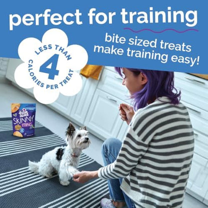 Fruitables Skinny Minis Soft & Chewy Dog Training Treats, Low Calorie Pumpkin & Berry Recipe, Bite-Sized Rewards for Puppies & Adult Dogs, No Wheat Corn or Soy, Made in USA, 20 oz