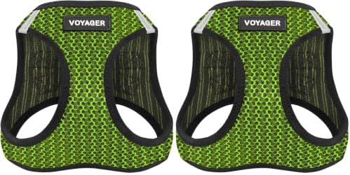 Voyager Step-in Air Dog Harness - All Weather Mesh, Reflective, No Pull Harness for Small, Medium Dogs, Cats - Secure with Hook & Loop Fastener, Buckle, Double D-Rings - Lime Green 2-Tone, XS